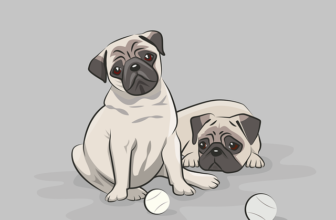 Mimos para Pets: Produtos Incríveis para Presentear Animais de Estimação