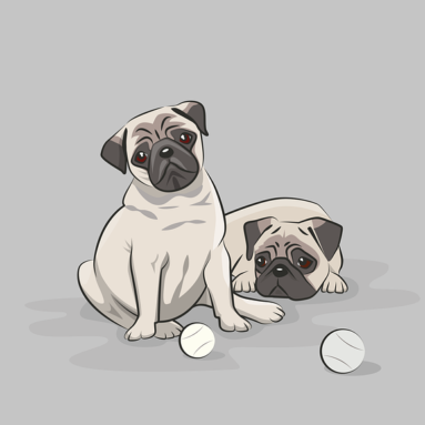 Mimos para Pets: Produtos Incríveis para Presentear Animais de Estimação